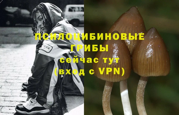 spice Белокуриха