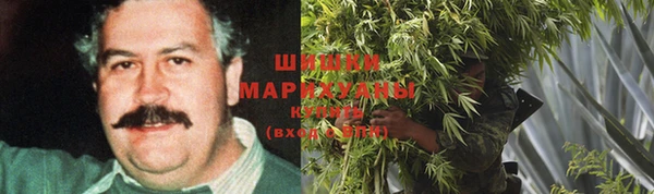 spice Белокуриха