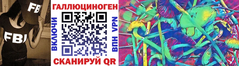 Псилоцибиновые грибы Psilocybe  Малая Вишера 